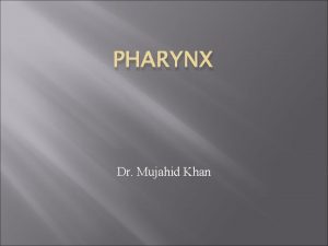 PHARYNX Dr Mujahid Khan Description The pharynx is