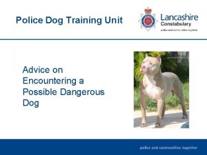 Police Dog Training Unit Advice on Encountering a