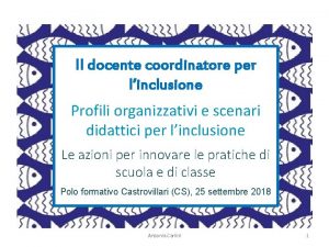 Il docente coordinatore per linclusione Profili organizzativi e