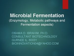 Classification of fermentation