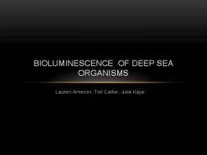 BIOLUMINESCENCE OF DEEP SEA ORGANISMS Lauren Arneson Tim
