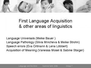 First Language Acquisition other areas of linguistics Language