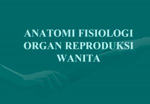 ANATOMI FISIOLOGI ORGAN REPRODUKSI WANITA Anatomi sistem reproduksi
