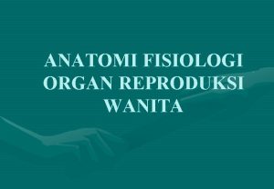 Fisiologi reproduksi pada wanita