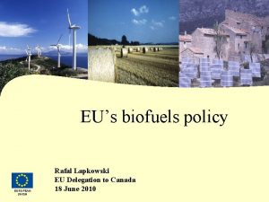 EUs biofuels policy 1192020 EUROPEAN UNION Rafal Lapkowski