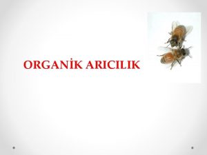 ORGANK ARICILIK ORGANK ARICILIK Doada bulunan nektar polen