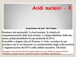 Acidi nucleici 3 presentazione del prof Ciro Formica