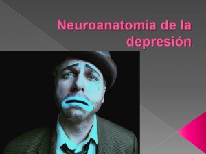 Neuroanatoma de la depresin Depresin Sndrome caracterizado por