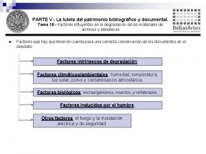 PARTE V La tutela del patrimonio bibliogrfico y