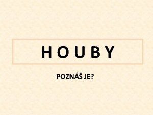 HOUBY POZN JE HIB SMRKOV HIB HND HIB