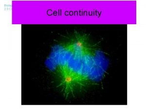 Cell continuity