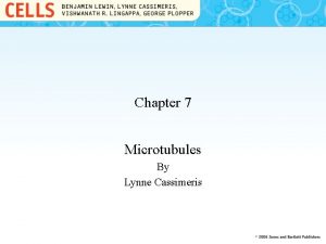 Chapter 7 Microtubules By Lynne Cassimeris 7 1