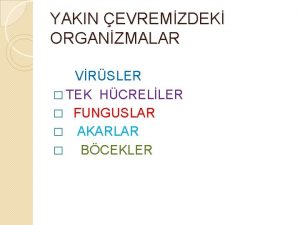 YAKIN EVREMZDEK ORGANZMALAR VRSLER TEK HCRELLER FUNGUSLAR AKARLAR