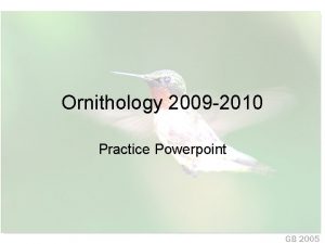 Ornithology 2009 2010 Practice Powerpoint Order family common