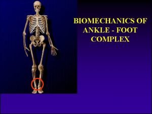 BIOMECHANICS OF ANKLE FOOT COMPLEX A bokaizlet biomechanikja