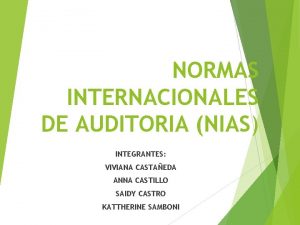 NORMAS INTERNACIONALES DE AUDITORIA NIAS INTEGRANTES VIVIANA CASTAEDA