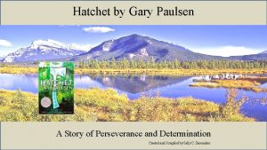 Hatchet by Gary Paulsen A Story of Perseverance