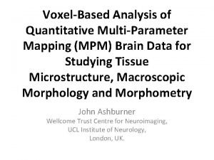 VoxelBased Analysis of Quantitative MultiParameter Mapping MPM Brain