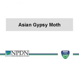 Asian Gypsy Moth Asian Gypsy Moth Why is