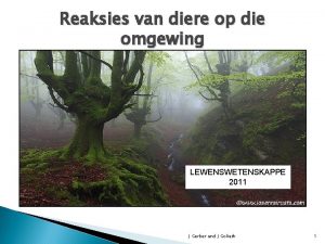 Reaksie op die omgewing mense