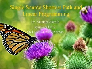 Shortest path problem linear programming