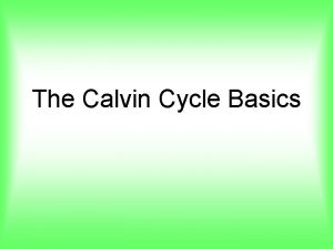 The Calvin Cycle Basics Dr Calvin utilized carbon14