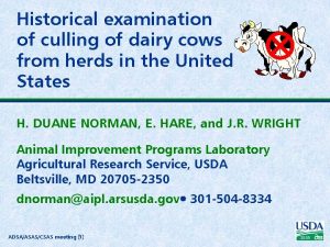 Historical examination of culling of dairy cows from