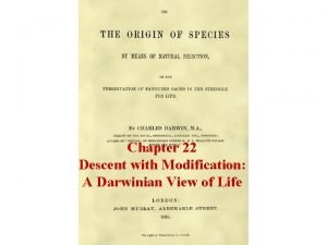 Chapter 22 descent with modification