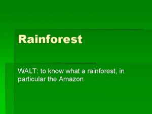 Rainforest WALT to know what a rainforest in