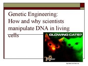 Genetic Engineering How and why scientists manipulate DNA