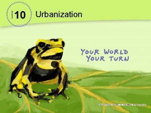 Chapter 10 urbanization