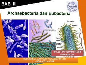 BAB III Archaebacteria dan Eubacteria Dr LUGTYASTYONO BN