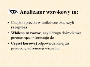 Analizator wzrokowy to Czopki i prciki w siatkwce