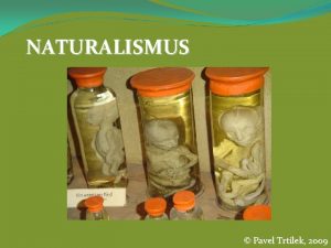 Naturalismus