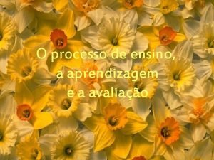 O processo de ensino a aprendizagem e a