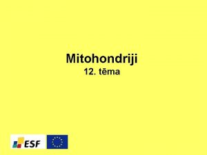 Mitohondriji 12 tma Mitohondriji Forma un novietojums n