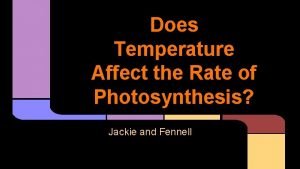 Does Temperature Affect the Rate of Photosynthesis Jackie
