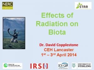 Effects of Radiation on Biota Dr David Copplestone