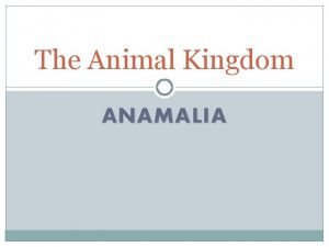 Anamalia examples