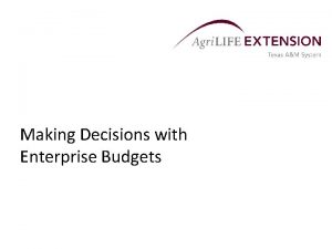 Example of enterprise budget