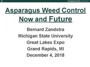 Asparagus Weed Control Now and Future Bernard Zandstra