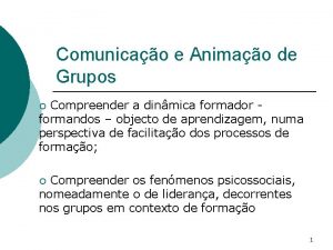 Comunicao e Animao de Grupos Compreender a dinmica