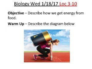 Biology Wed 11817 Loc 3 10 Objective Describe