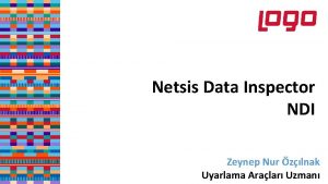 Netsis Data Inspector NDI Zeynep Nur zlnak Uyarlama