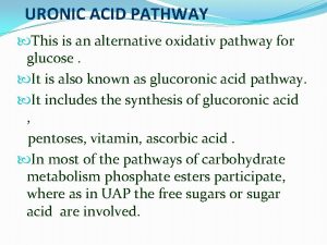 Uronic acid pathway