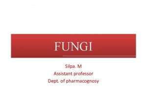 FUNGI Silpa M Assistant professor Dept of pharmacognosy