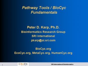 Pathway Tools Bio Cyc Fundamentals Peter D Karp