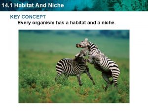 Types of habitat
