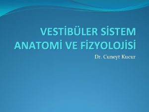 VESTBLER SSTEM ANATOM VE FZYOLOJS Dr Cuneyt Kucur