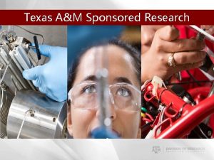 Tamu srs Tamu srs